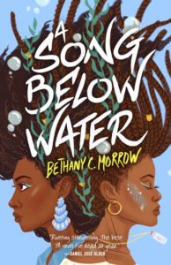 a song below water book cover